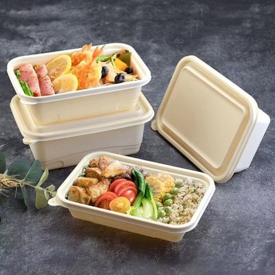 500-600 میلی لیتر مواد غذایی یکبار مصرف قابل کمپوست باکس ناهار بسته بندی غذای سریع